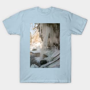 Scheidegg First Waterfall in Winter T-Shirt